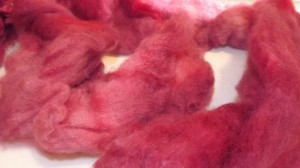 BFL dyed