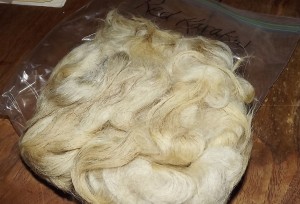 red karakul sheep wool