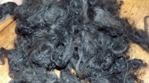 Washed lamb karakul